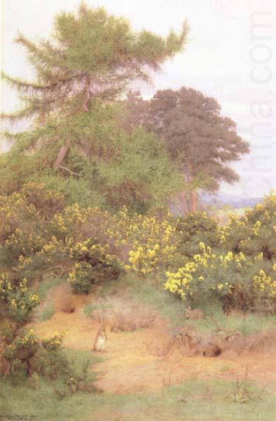 George Marks At the Edge of Shere Heath (mk46) china oil painting image